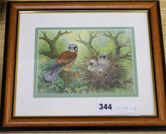 T.H- enamel plaque of Kestrel and chicks in a nest, 12 x 17cm.